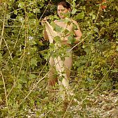 Stripped in the bushes.
