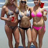A breasty hotty at the Little Palm.